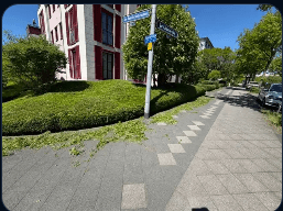 Fachgerecht geschnittene Hecke am Gehweg